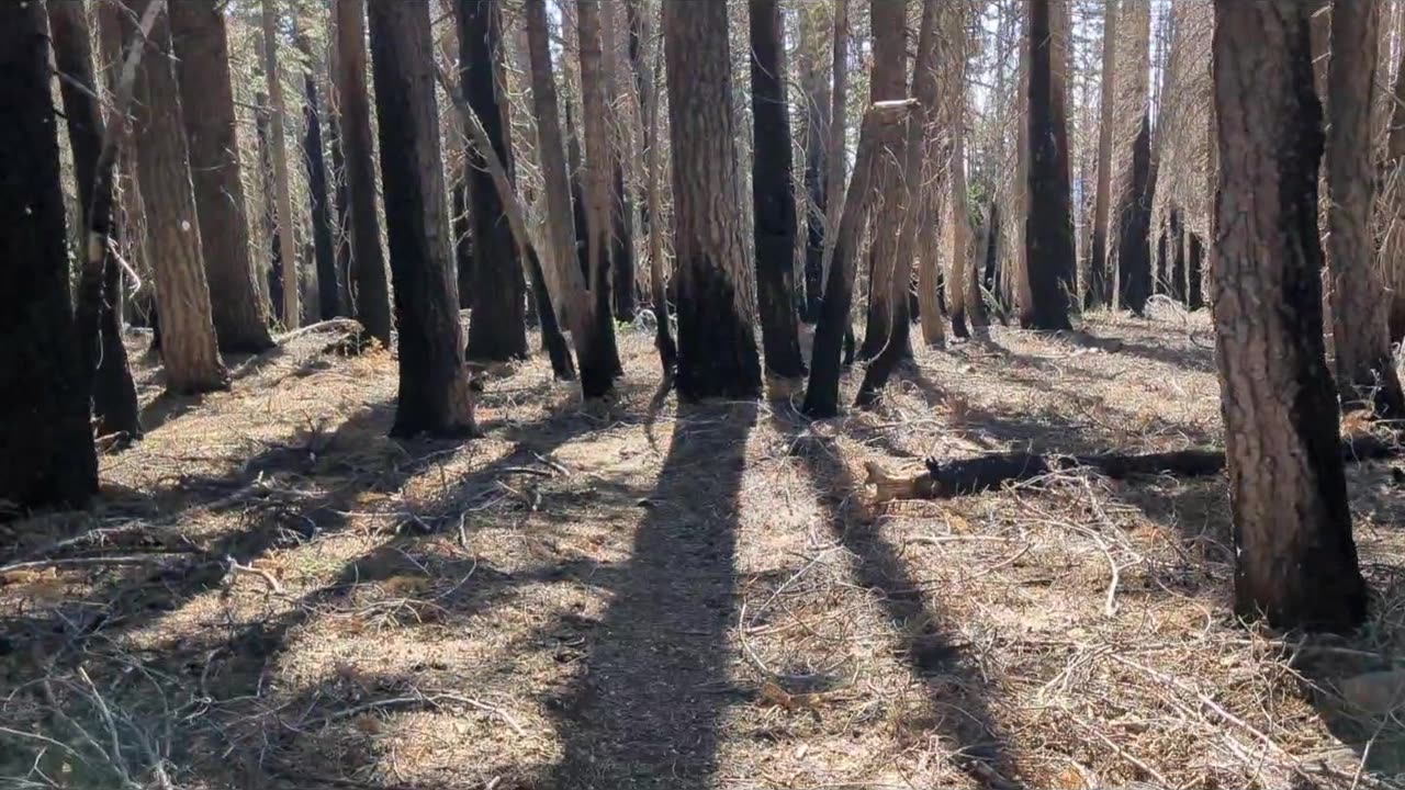 Day 128-129 Pacific Crest Trail 2024 - Into Belden