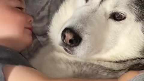 The Full 4 Year Story Of My Husky & Baby Becoming Best Friends!! [WITH MUSIC!]