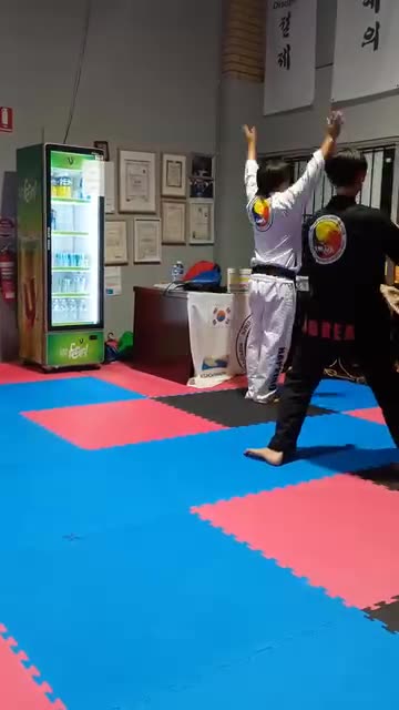 Hapkido Form