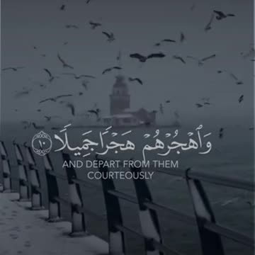 💕Heart Touching Quran Status || Quran Urdu translation WhatsApp status