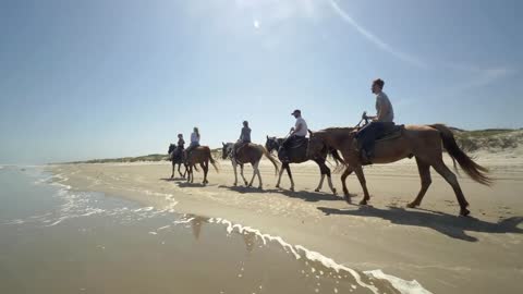 Group Rides Horses On Beach