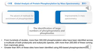 Protein Phosphorylation Analysis