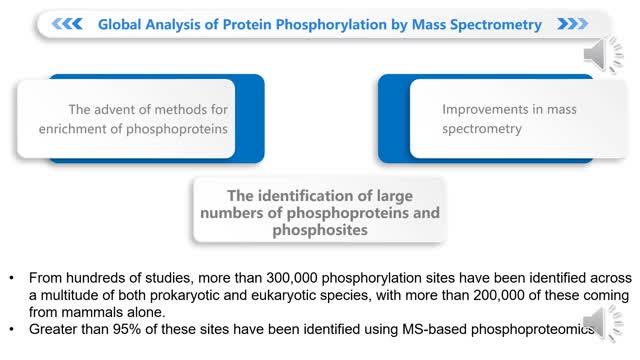 Protein Phosphorylation Analysis