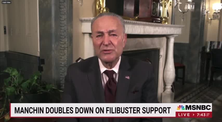 Democrats SCARED For Midterms: Schumer Discusses Why They'll Lose