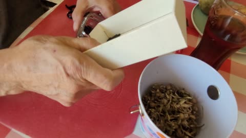 Hippie-Biker Moment - Harvesting Morning Glory Seeds