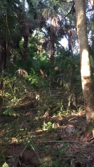 How would you like to have this thing under your hat