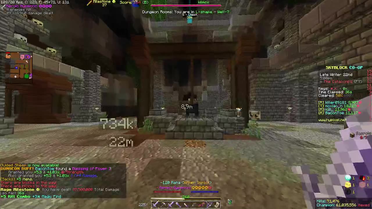 Skyblock FLOOR 7 [#3]
