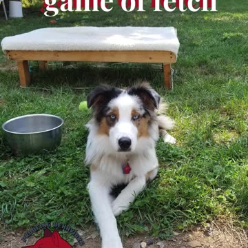 It's all in the game of Fetch part 4 cut 1
