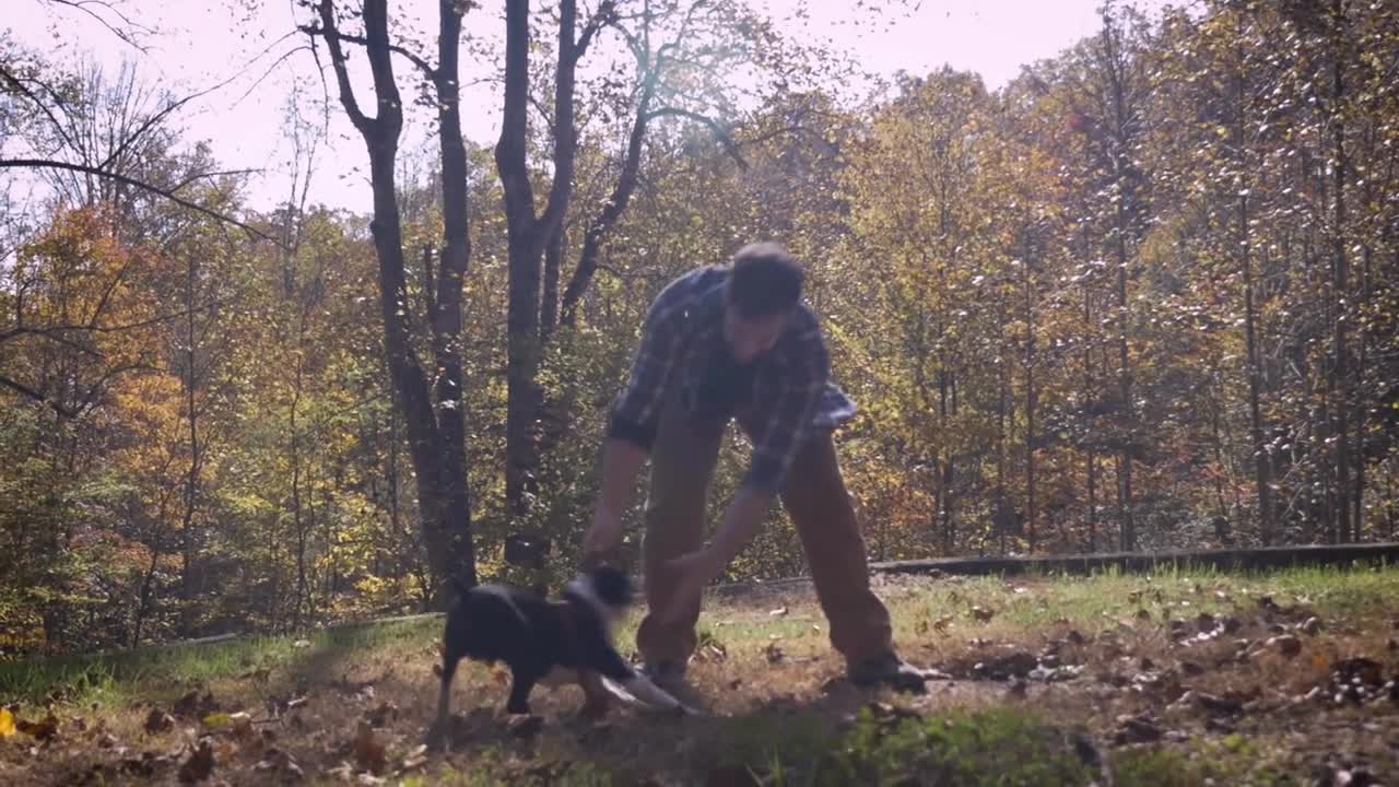 Handsome happy smiling man playing tug of war with his pet Boston Terrier dog outside in a park