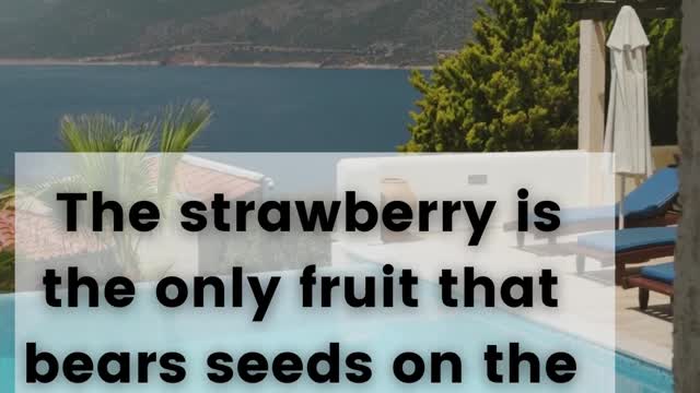 Food Fact #17