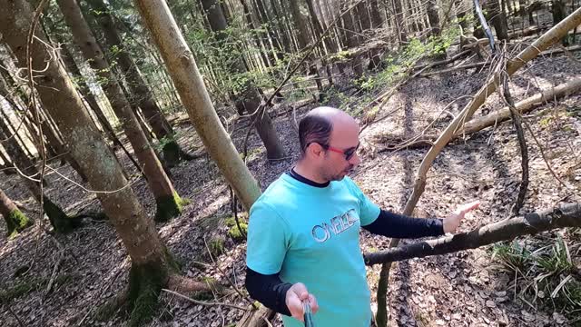 Found some hazel for firewood while woodland walking