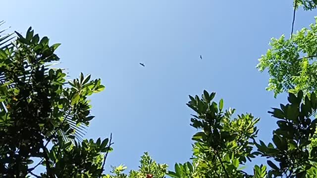 The beauty of nature! look at this.