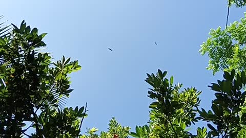 The beauty of nature! look at this.