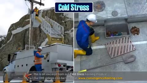 Cold Stress Training