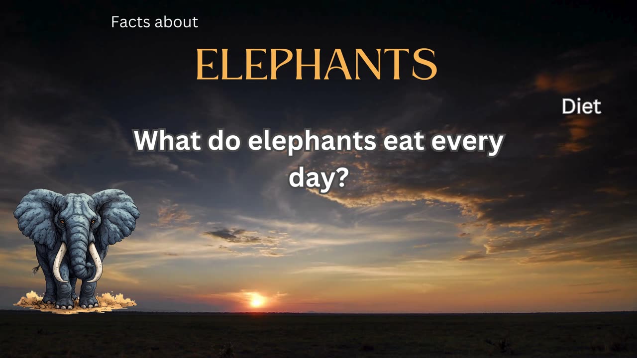 Elephant Fact 4 - What do elephants eat every day?