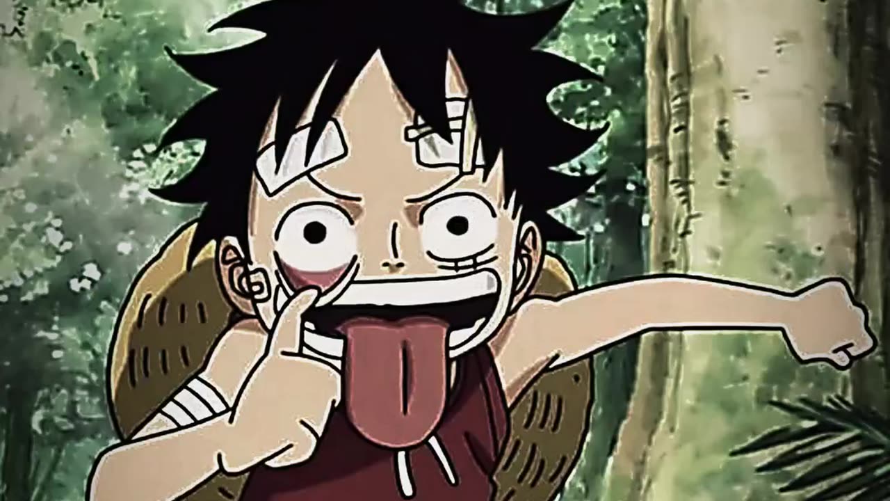 Kid luffy cute moments