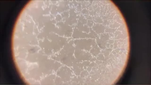 Pfizer_BNT vaccine_輝瑞疫苗，在顯微鏡下_12分鐘的變化