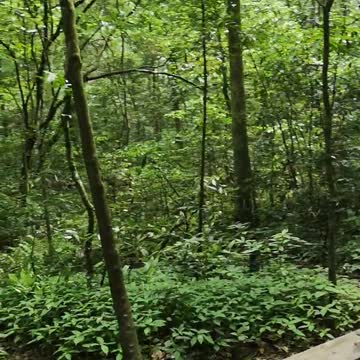 Nature and Wildlife 23