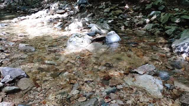 Water flowing through stones