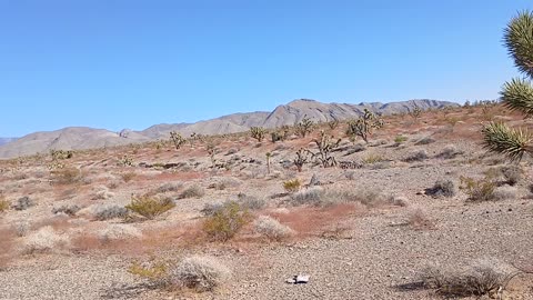 Hiking - Shadow Mountain, Pahrump, NV 89060 - 20240926T154209