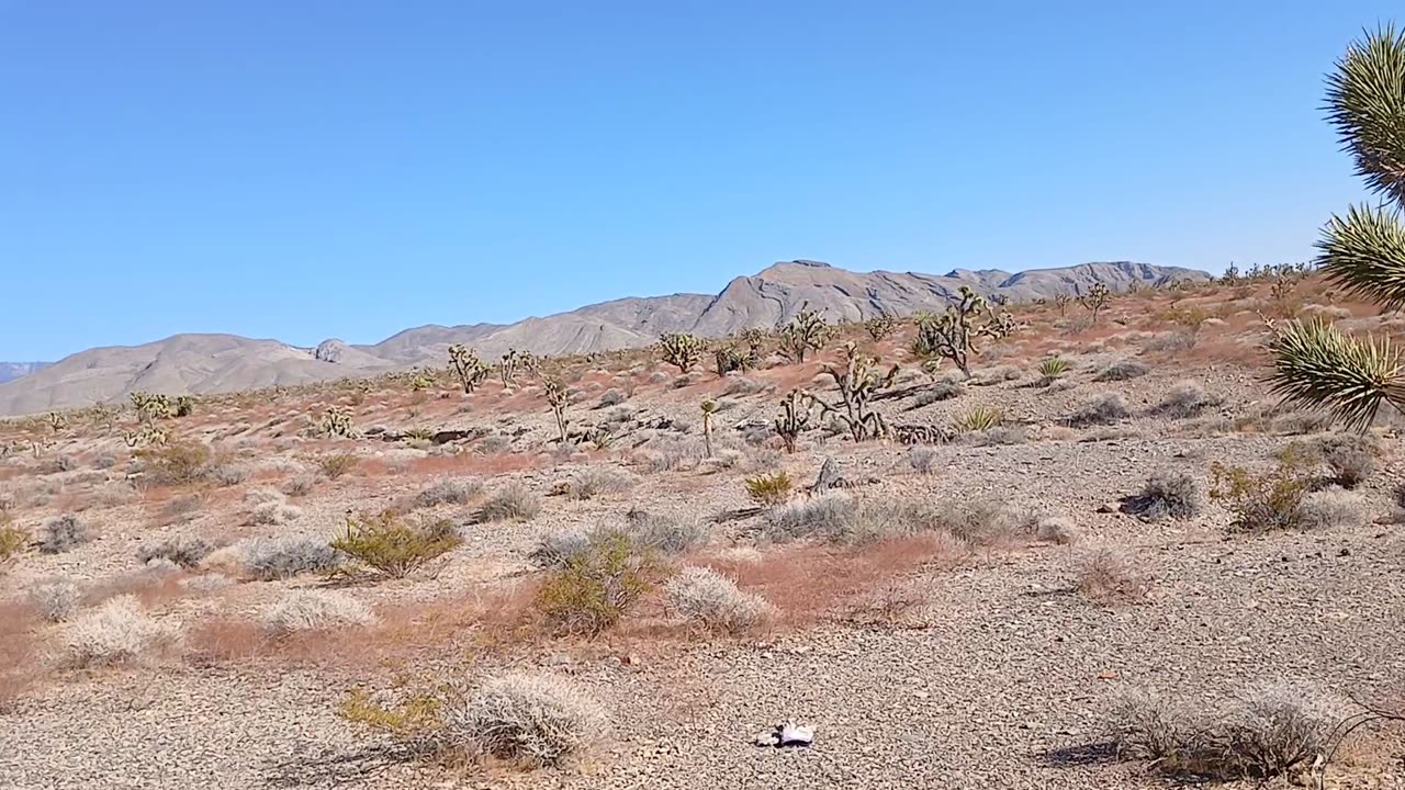Hiking - Shadow Mountain, Pahrump, NV 89060 - 20240926T154209