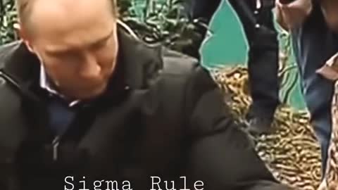 Putin Attitude Status | Sigma Rules Putin | Putin loves Animal