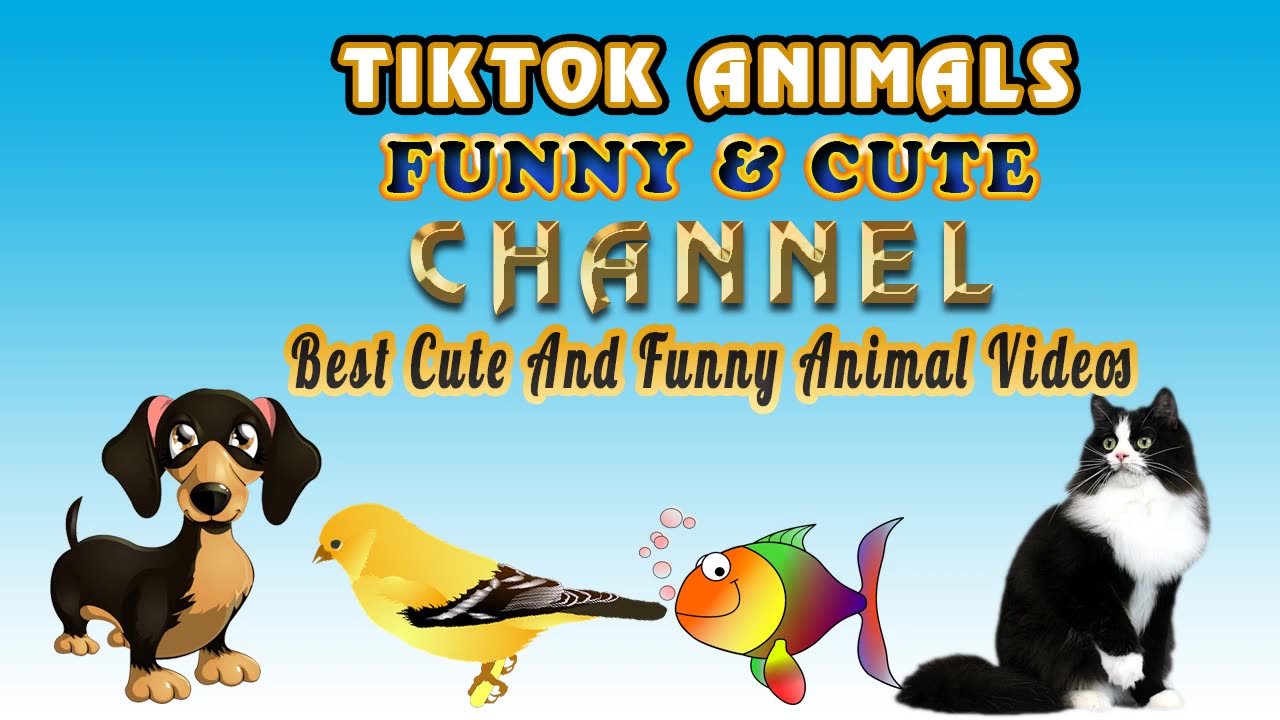 🐱 TikTok Animals-Funny and Cute -Cat Video #25 ｜｜TikTok Animals-Funny and Cute Channel.