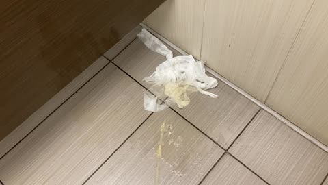 toilet paper pile urination