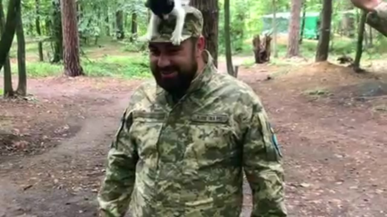 Playful Kitten Climbs Up Soldier