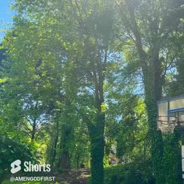 Peace for you love nature!