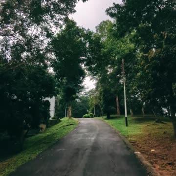 The road you want to walk with that special person