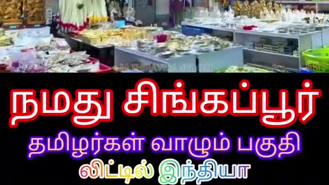 நமது சிங்கப்பூரில் தமிழர்கள் வாழும் பகுதி SINGAPORE TMS FANS M.THIRAVIDA SELVAN PART 1