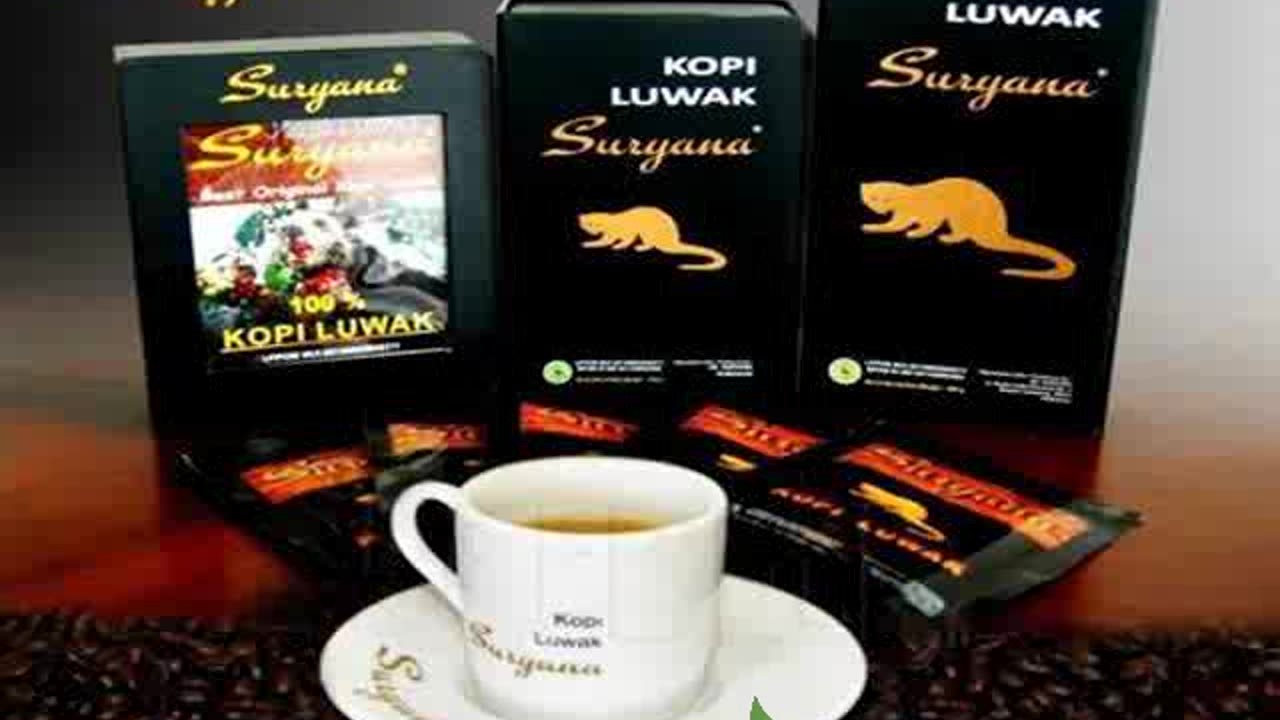 ecer grosir kopi Wamena