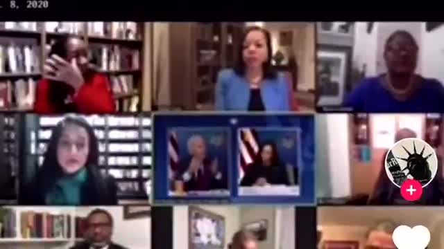 Joe Biden leaked zoom call (racist)