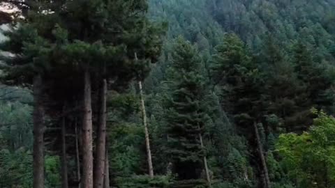 Kashmir