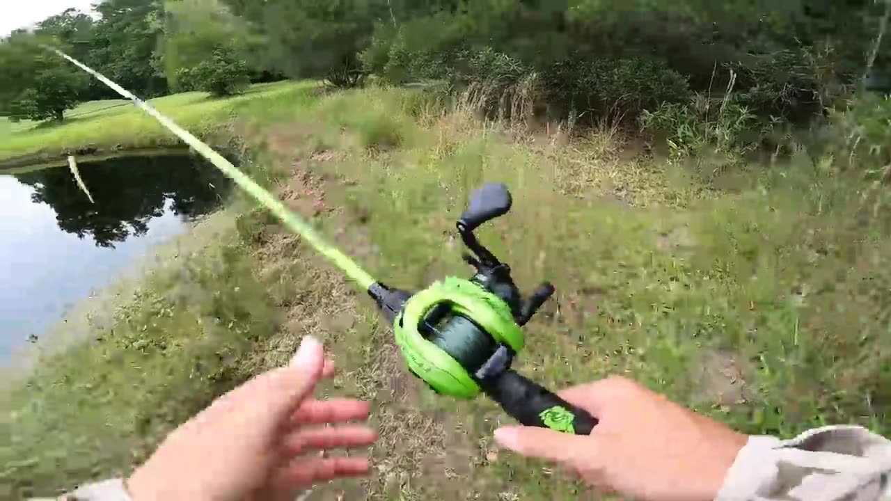 Fishing a Snake Lure for Pond MONSTERS!