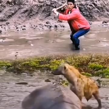 funny|prank|jokes|funny jokes|dad jokes|funny memes|funny video|fun|laughing|funny animal|knock