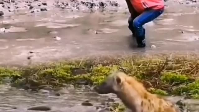 funny|prank|jokes|funny jokes|dad jokes|funny memes|funny video|fun|laughing|funny animal|knock