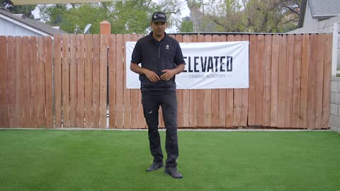 DOG TRAINING ESSENTIALS : LESSON 1 (100% works)