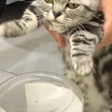 Dance time begins, let's dance