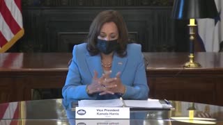 VP Harris Says She Is A "Woman Sitting At The Table Wearing A Blue Suit"