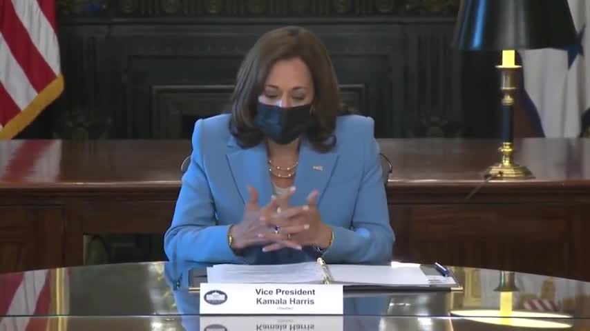 VP Harris Says She Is A "Woman Sitting At The Table Wearing A Blue Suit"