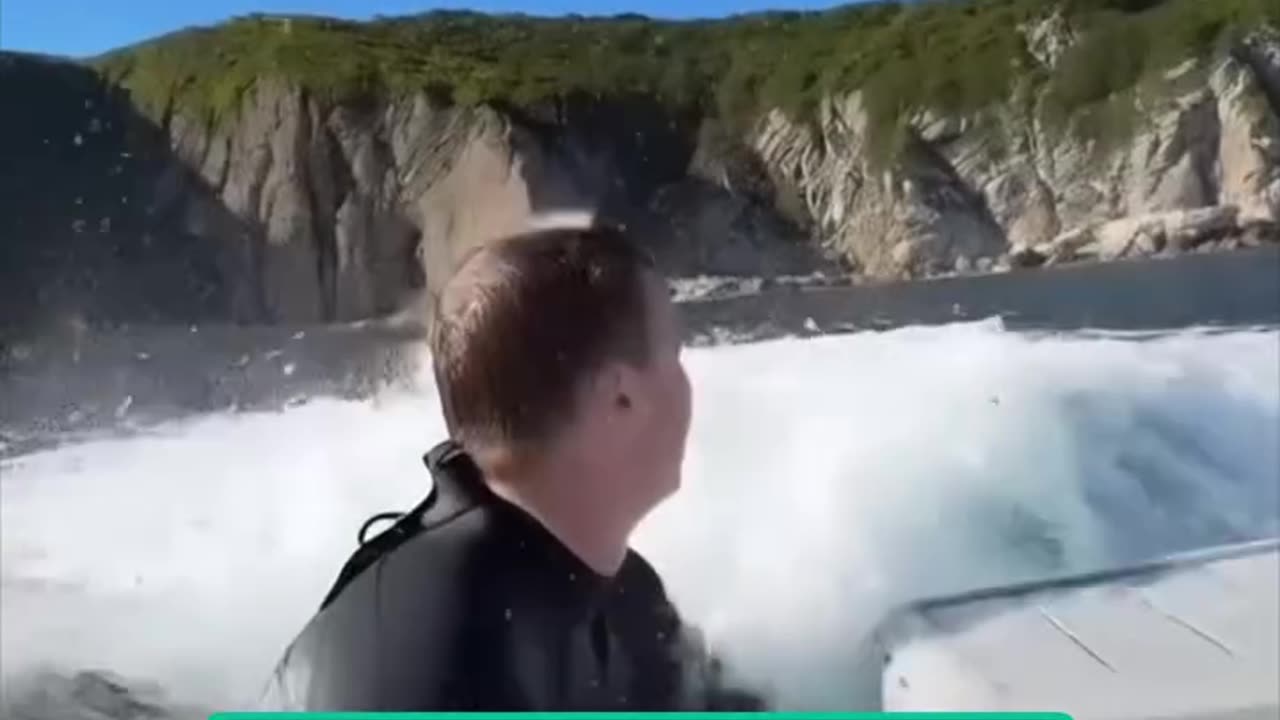 when the giant whale jumps close to you, and will board