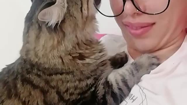 Attention Seeking Kitty Chews Glasses