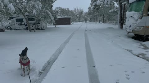 May 2022 Colorado Springs Snowstorm