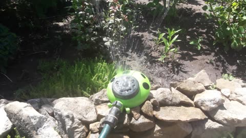 Watering the garden