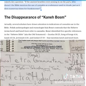 Cannibus: Biblical Remedy