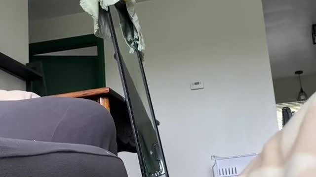 We havent had a chance to hang the mirror up yet so Stella decided to play peekaboo
