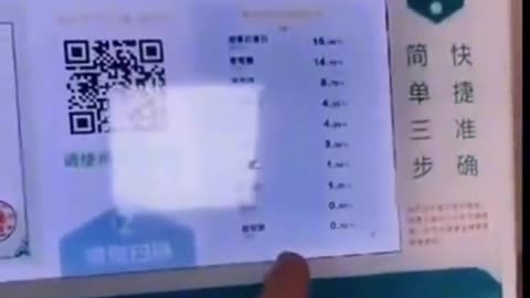 China Toilet System