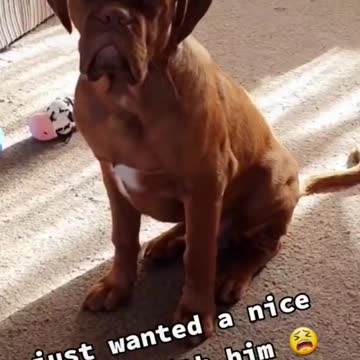 When taking a video goes wrong